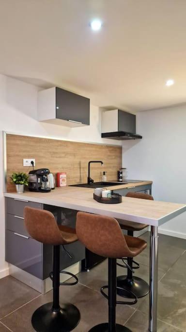 L'Atelier B Magnifique Loft Avec Terrasse Privee Διαμέρισμα Σαιντ-Ετιέν Εξωτερικό φωτογραφία